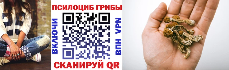 купить наркотик  Кисловодск  Галлюциногенные грибы мухоморы 