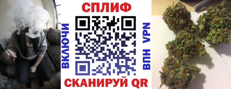 цены наркотик  Кисловодск  Марихуана сатива 